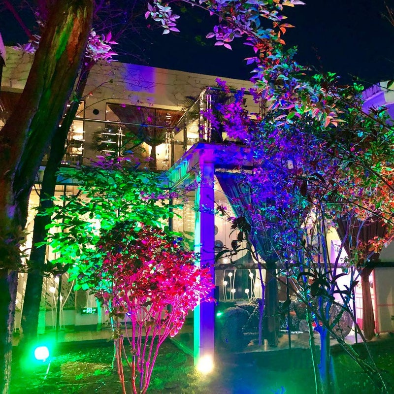 GLW إضاءة المناظر الطبيعية منخفضة الجهد GLW 10W مع تغيير لون RGB، مصابيح LED مع تحكم عن بعد، مقاومة للماء، مصباح سبوت لايت للحديقة والفناء، مصباح زخرفي للاستخدام الخارجي والداخلي (8 قطع/بدون قابس) - Image 2
